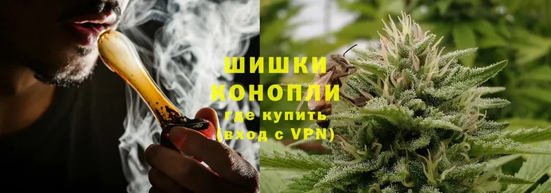 darknet наркотические препараты  Шарыпово  Каннабис SATIVA & INDICA  купить  